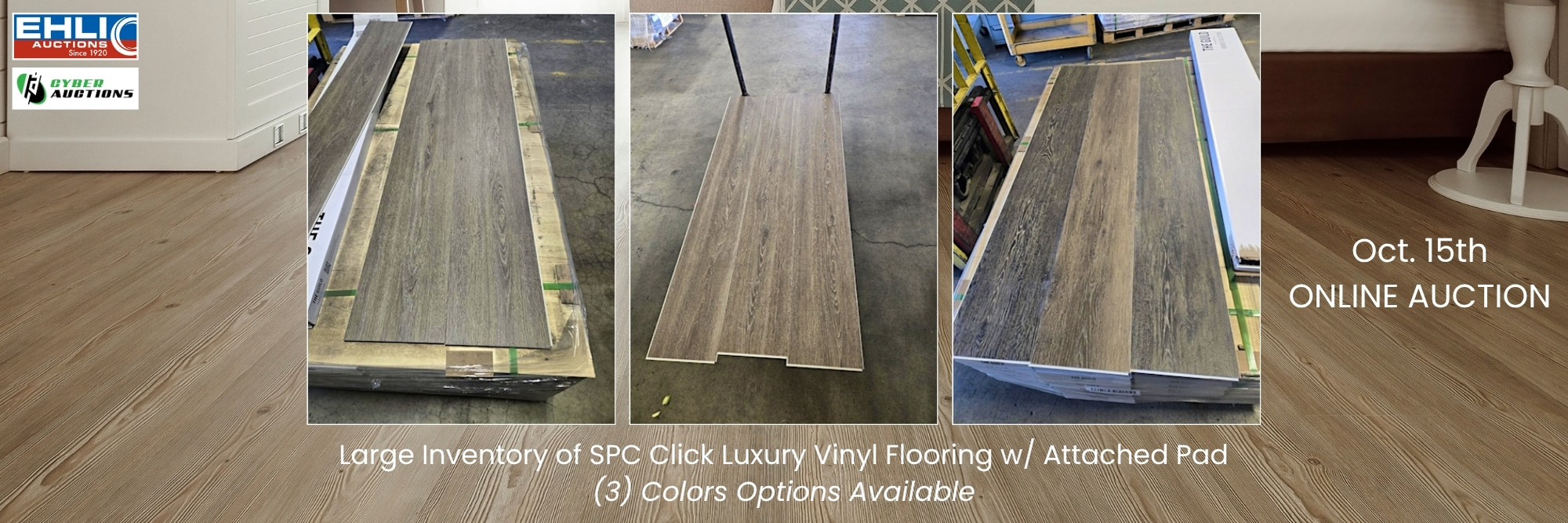 October 15th Consignment Auction (3)